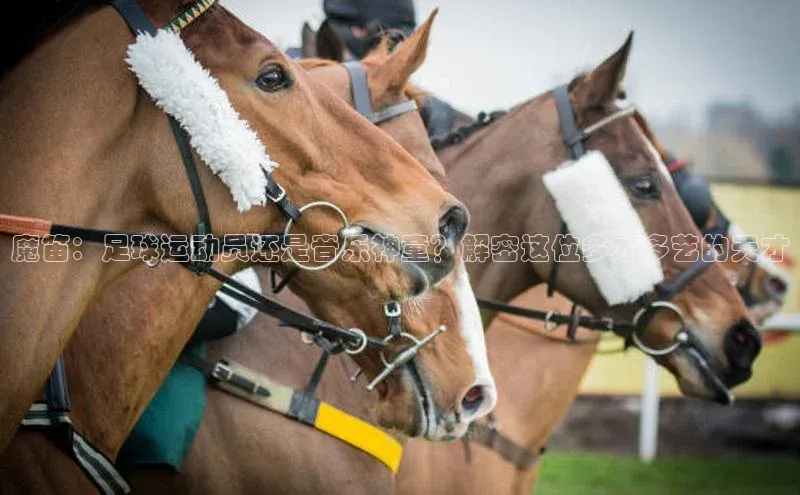 意昂体育4官网挪威主权基金