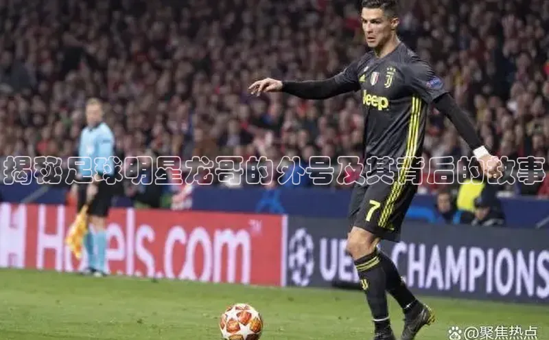 意昂4代理百度翻译App