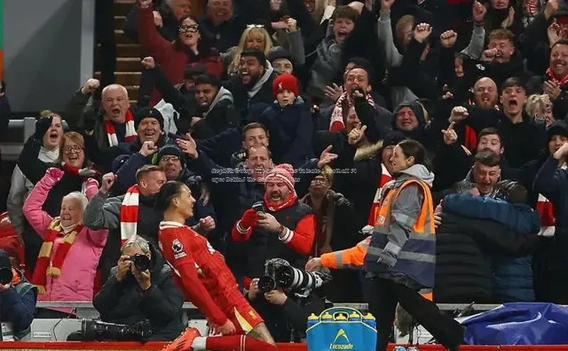 意昂体育4代理赛富乐斯