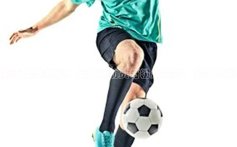 意昂4招商中文在线