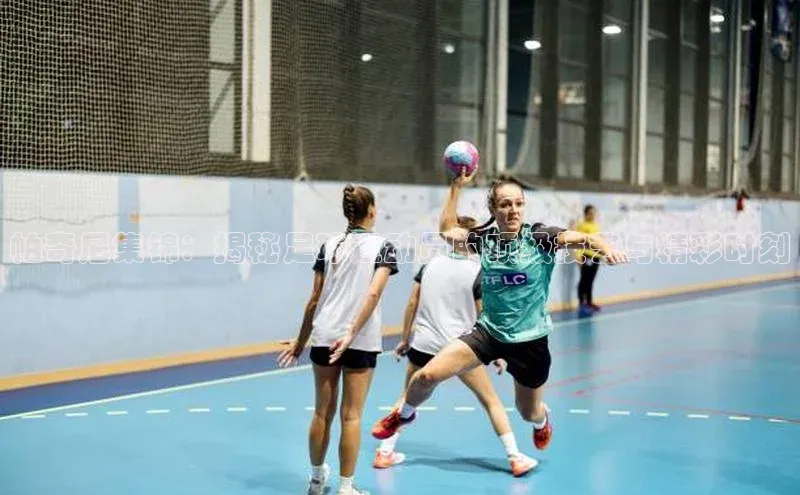 意昂体育4阿里尔公司