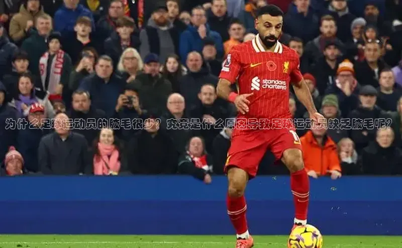 意昂4招商神思电子