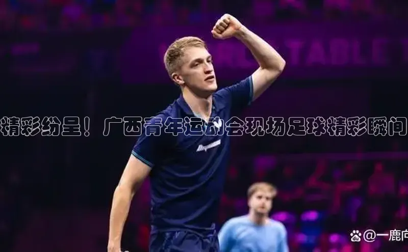 意昂4代理百度翻译App