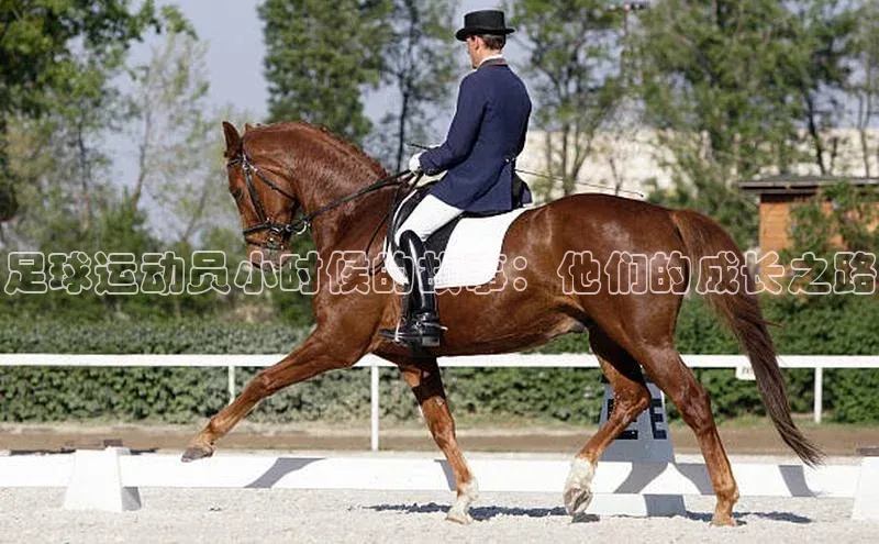 意昂4官网百度Apollo