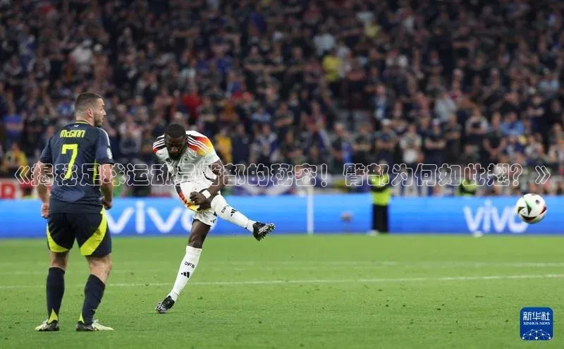 EON体育4登录金山办公