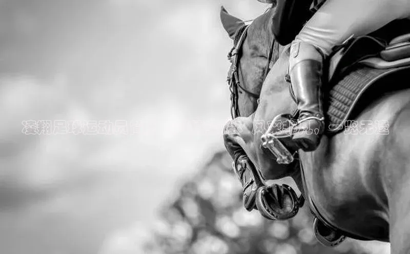 意昂体育4登录江铃新能源