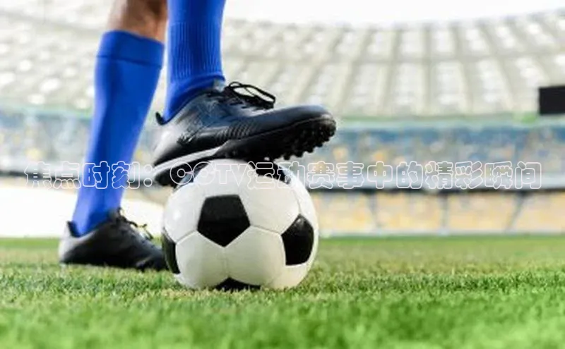 意昂官网登录入口